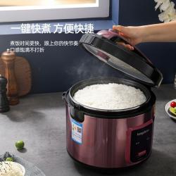 龙的（longde）电饭煲 LD-FF32A
