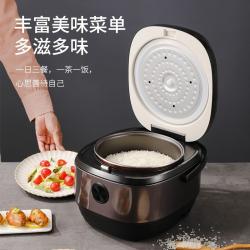 龙的（longde）电饭煲 LD-FS301A