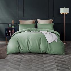 25罗莱 简粹60S全棉贡缎四件套 200*230cm 2000010914